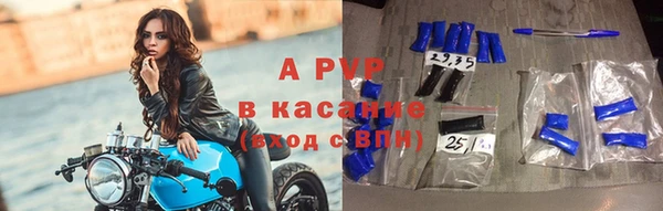 бошки Пересвет