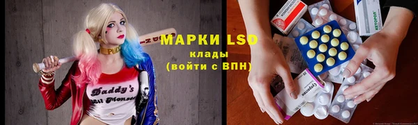 индика Алзамай
