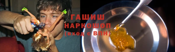 индика Алзамай