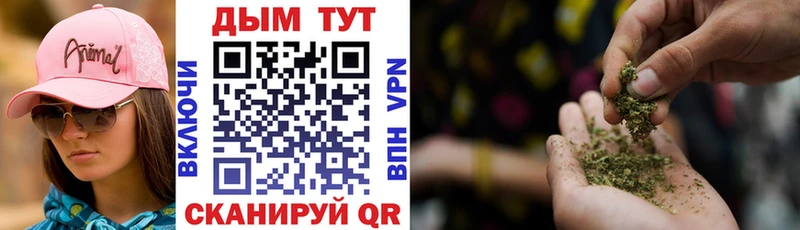 МАРИХУАНА индика  где продают наркотики  Ноябрьск 